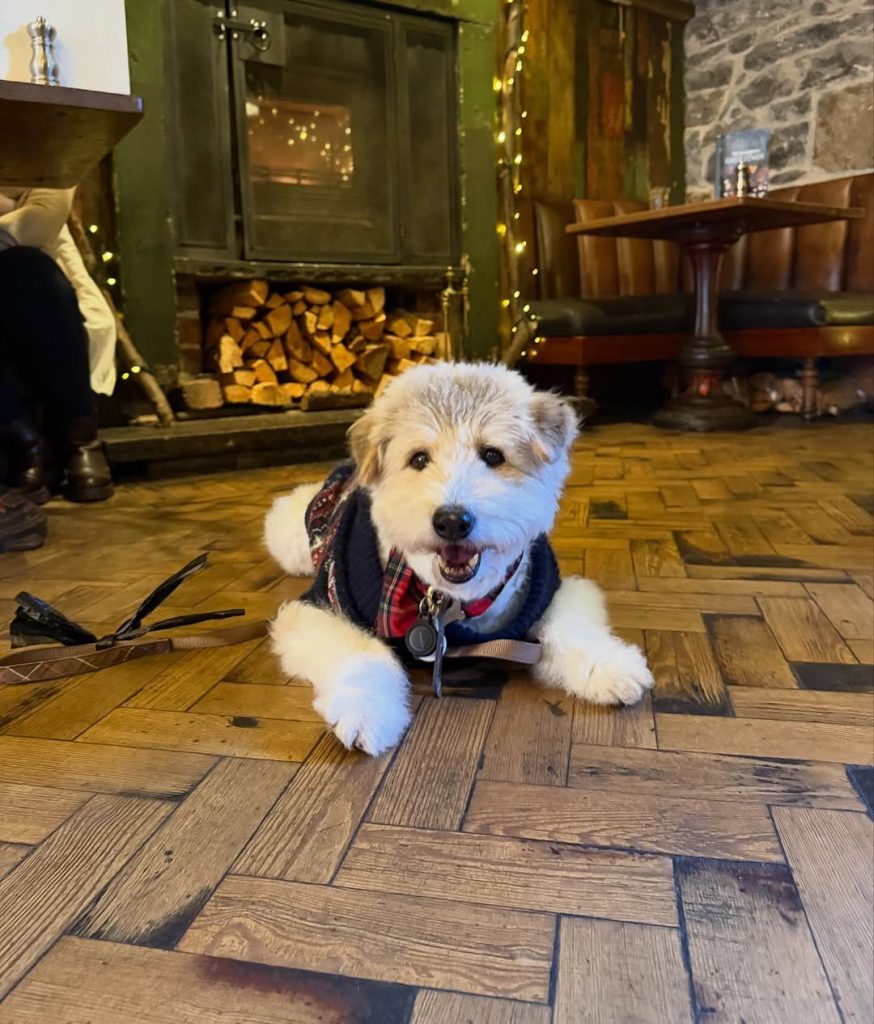 Dog Friendly Glasgow West