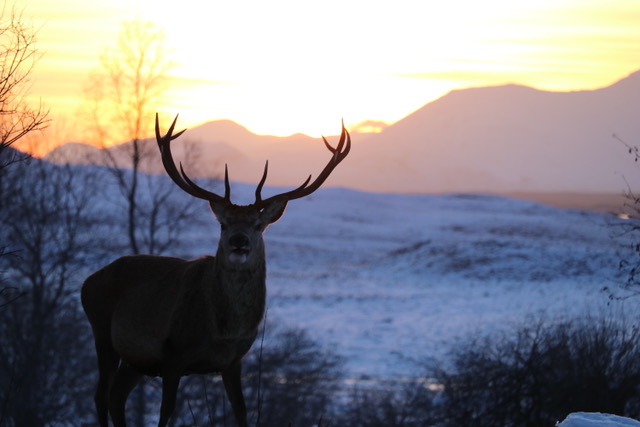 Bespoke Travel Companies Glasgow